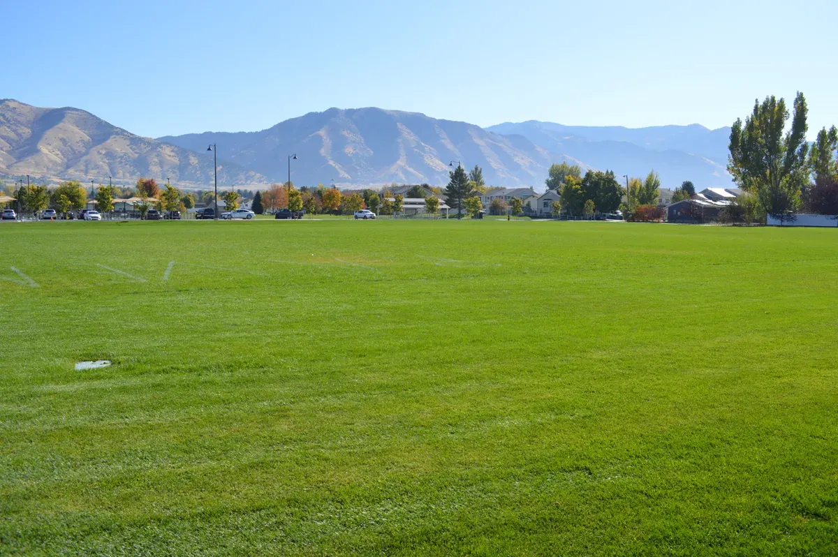 Professional sports turf maintained by A & D Landscaping